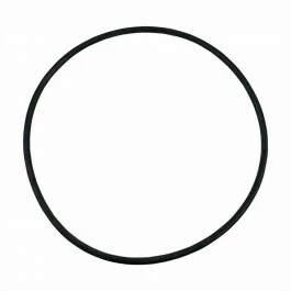 Joint Torique Pour Cuve De Filtre à Sable Intex 4 M³/h