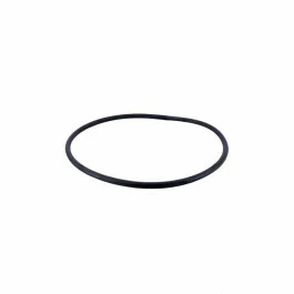 Joint De Couvercle Pentair Pour Filtre à Sable TRITON Neo